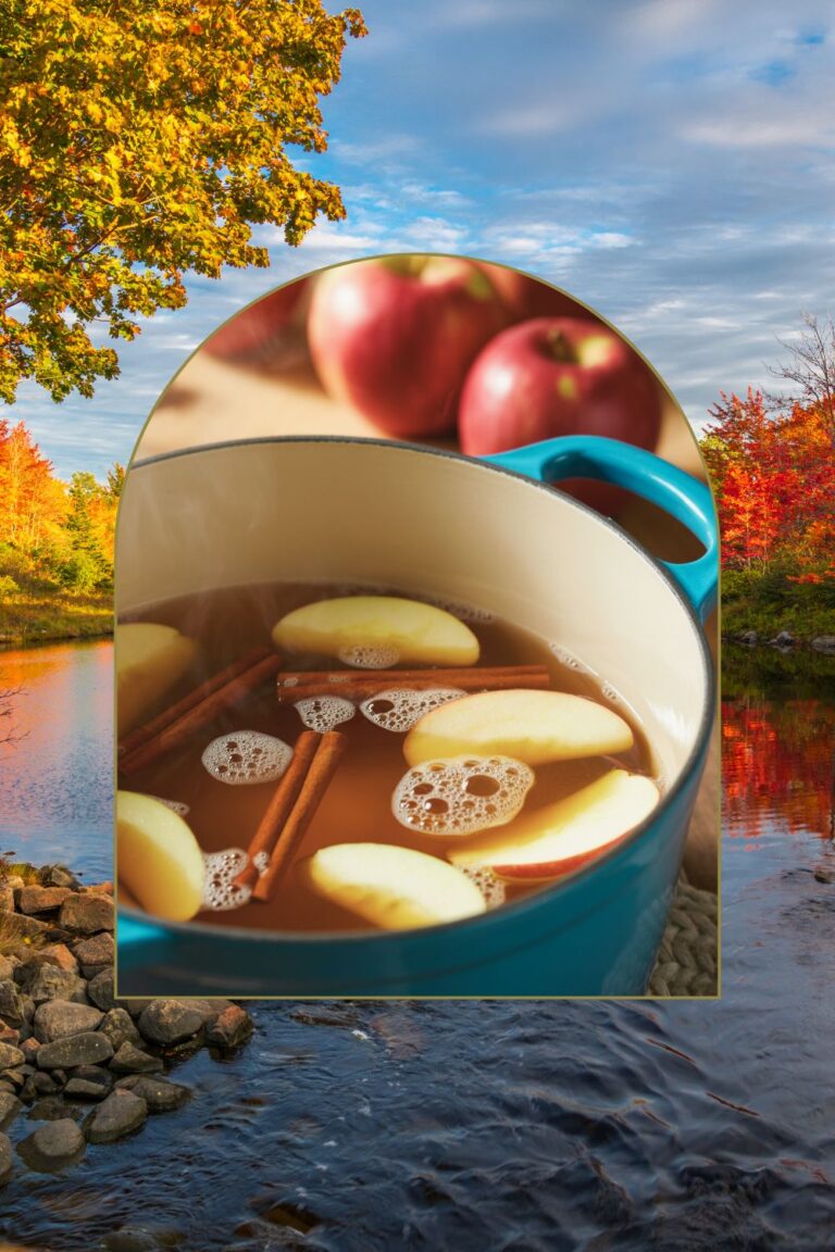 20 Cozy Fall Simmer Pot Recipes to Make Your Home Smell Like Autumn